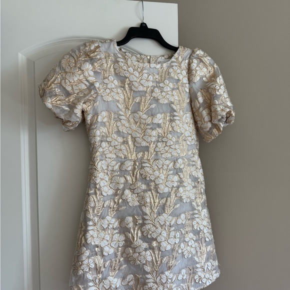 Floral Embroidered Sheer Dress - Picture 2 of 4